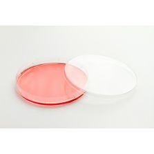 Nunc EasYDish Dishes