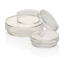 Nunc IVF Dishes