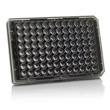 Thermo Scientific 96 Well Black/Clear Bottom Plate, Poly-D-Lysine Coated Surface, Pack Of 5 - 152037