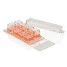 Nunc Lab-Tek Chamber Slide System