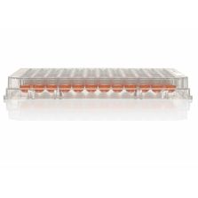 Nunc MicroWell 96-Well Microplates