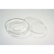 Nunc IVF Center Well Dish