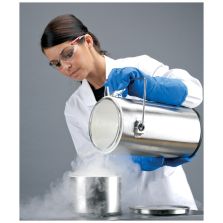 Thermo Scientific 2122 THERMO-FLASK(1 LTR)