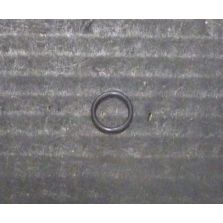 THERMO 91035 O-Ring Lid Knob SLA-600TC PK/6