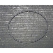 THERMO 91037 O-Ring Lid SL-50T PK/6