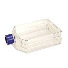 Nunc Non-Treated Flasks