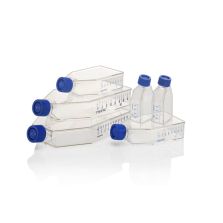 Nunc Poly-D-Lysine or Collagen I Coated EasYFlasks
