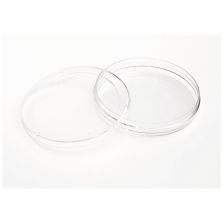 Nunc IVF ICSI Dish