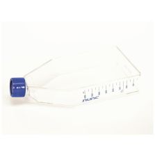 Nunc EasYFlask Cell Culture Flasks