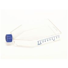 Nunc EasYFlask Cell Culture Flasks