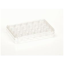 Nunc Cell-Culture Treated Multidishes