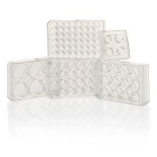 Nunc Cell-Culture Treated Multidishes