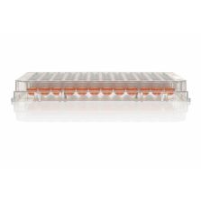 Nunc 96-Well, Nunclon Delta-Treated, U-Shaped-Bottom Microplate