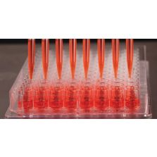 96 Well Edge Plate, Non-Treated Surface, No Lid, Non-Sterile, Pack of 10