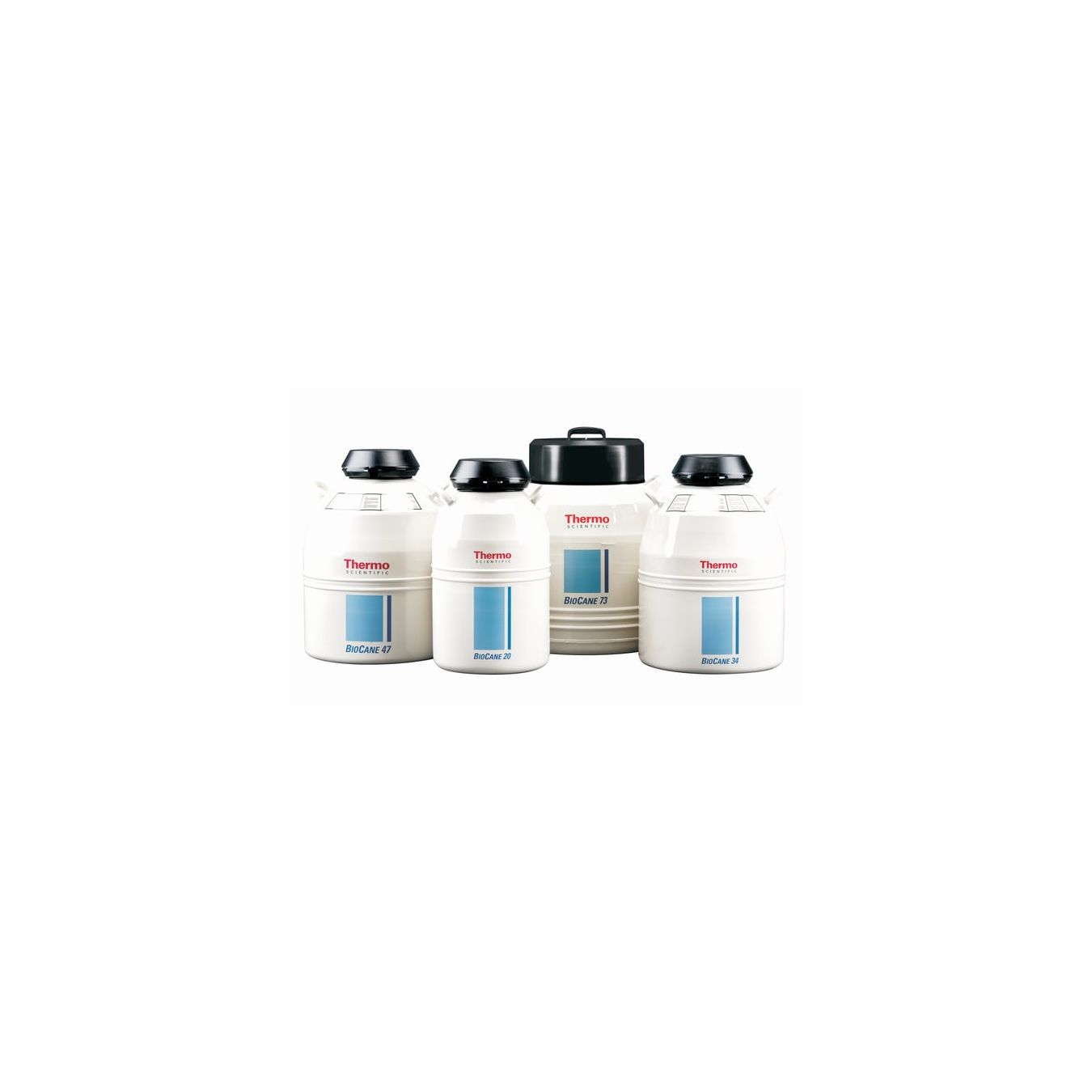 Thermo Scientific CK509X3 BIOCANE 34 VESSEL