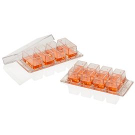 レヴェドボゥ　N Thermo Scientific Nunc Lab-Tek Chambered Coverglass - 57 x 25 mm