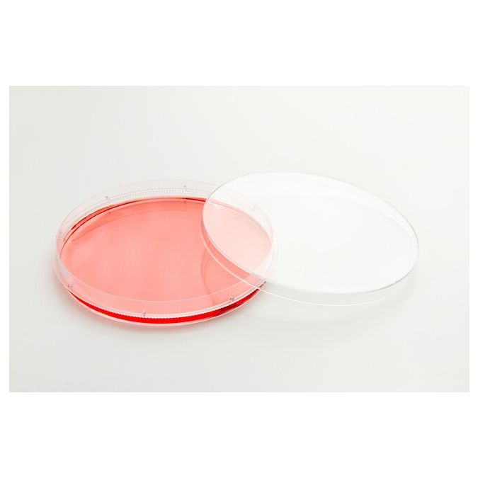 Thermo Scientific Nunc EasYDish Dishes - 150464 - 100 mm