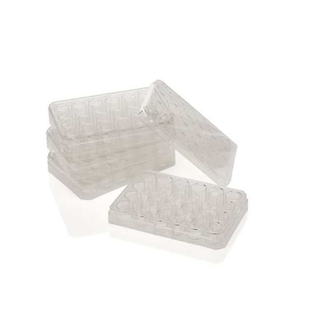Thermo Scientific Nunc Polycarbonate Cell Culture Inserts In Multi-Well Plates - 140620 (0.4 μm) (24-Well Plate)