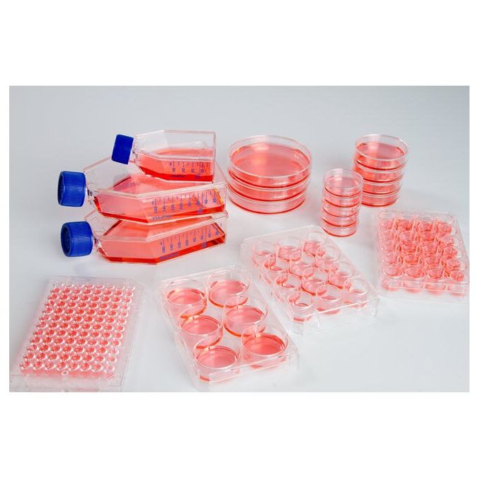 Thermo Scientific 96 Well Plate, Sphera Low-Attachment Surface, Pack of 1 - 174927