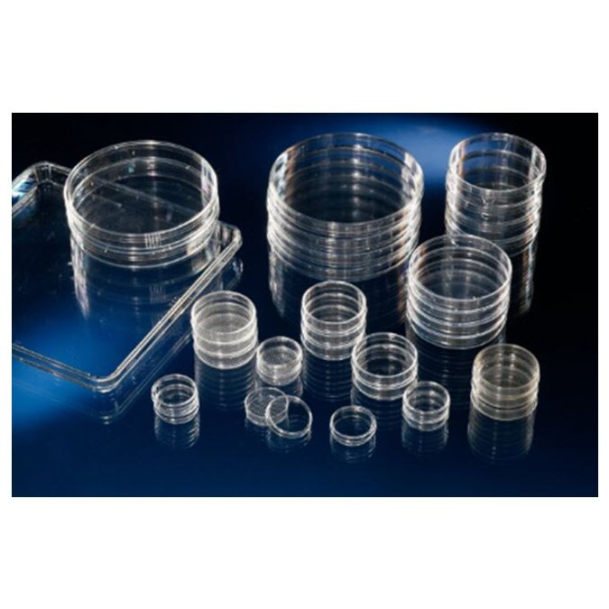 Thermo Scientific Nunc Cell Culture/Petri Dishes - 172931 - 100 mm