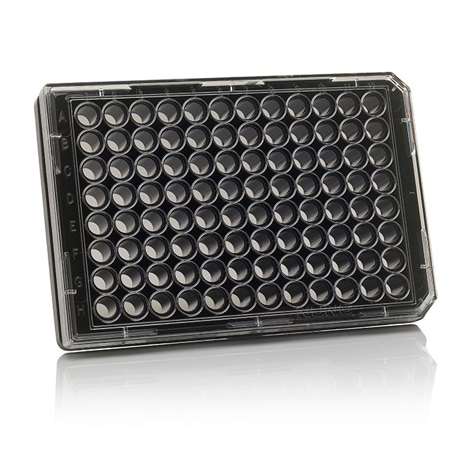 Thermo Scientific 96 Well Black/Clear Bottom Plate, Collagen I Coated Surface, Pack Of 5 - 152036