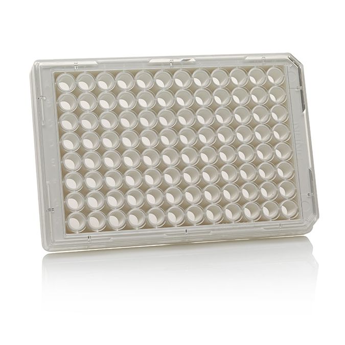 Thermo Scientific 96 Well White/Clear Bottom Plate, TC Surface - 96 wells - 50 to 200 μL - 165306