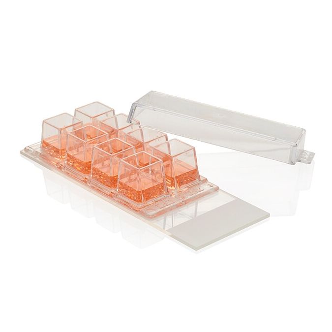 Nunc Lab-Tek Chamber Slide System