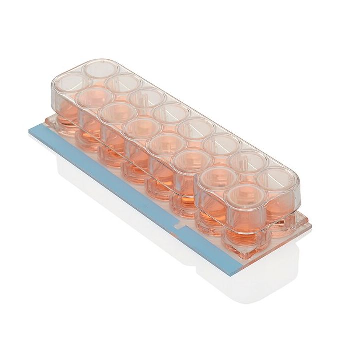 Nunc Lab-Tek Chamber Slide System