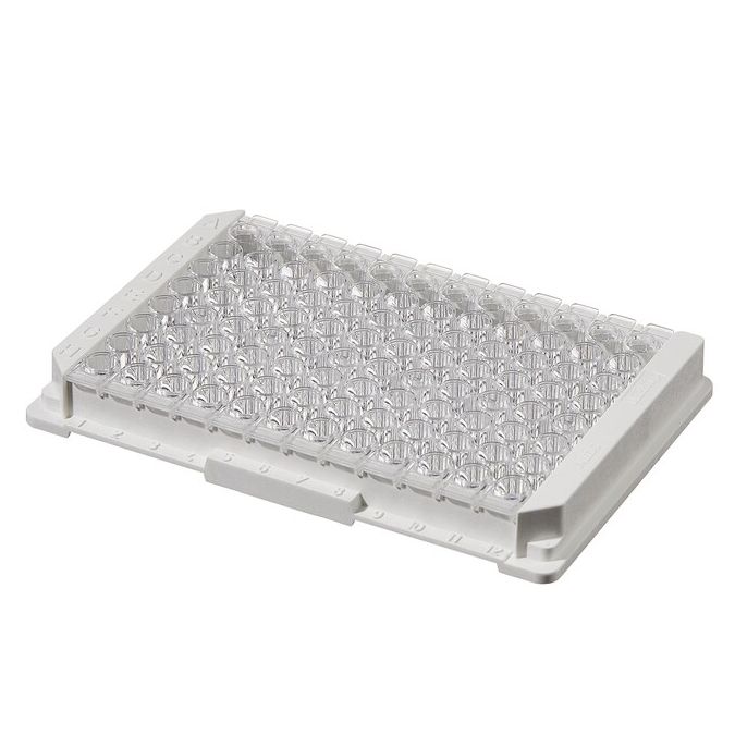 Thermo Scientific Immuno Clear Standard Modules - 96 wells - 250 μL - 445101