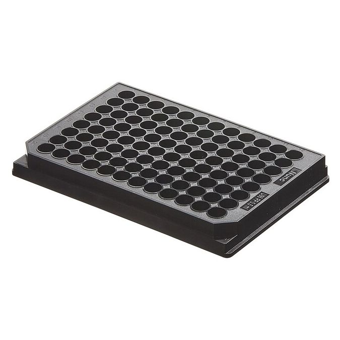 Thermo Scientific Nunc 96-Well Polypropylene Sample Processing & Storage Microplates - 96 wells - 450 μL - 267342
