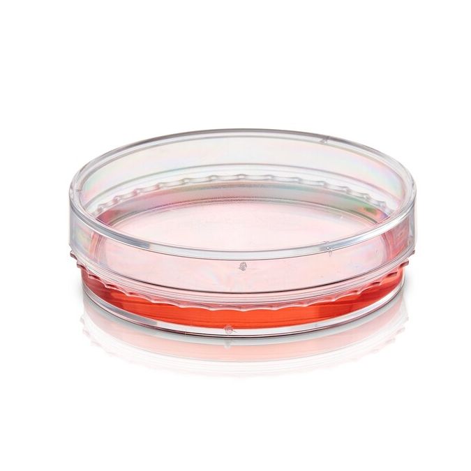 Thermo Scientific BioLite Cell Culture Treated Dishes - 130180 - 35 mm