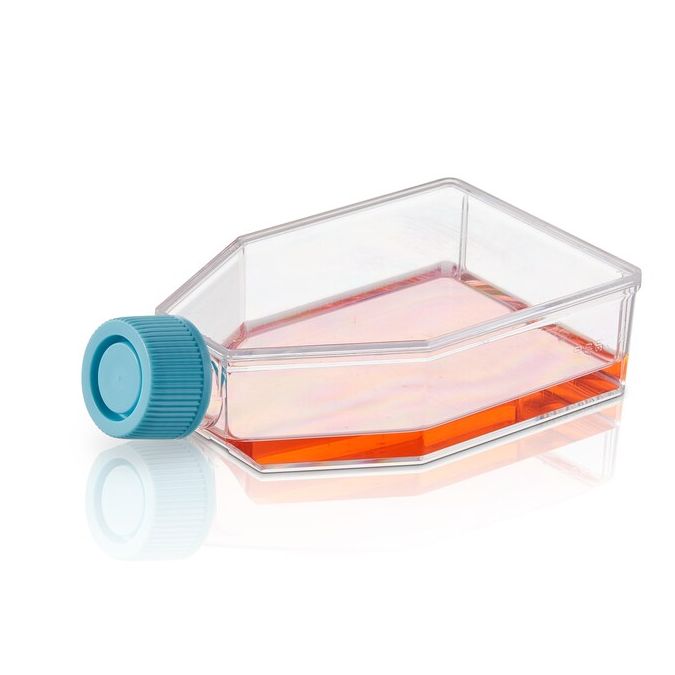 Thermo Scientific BioLite Cell Culture Treated Flasks - 130330 - 225 cm2 - Vented
