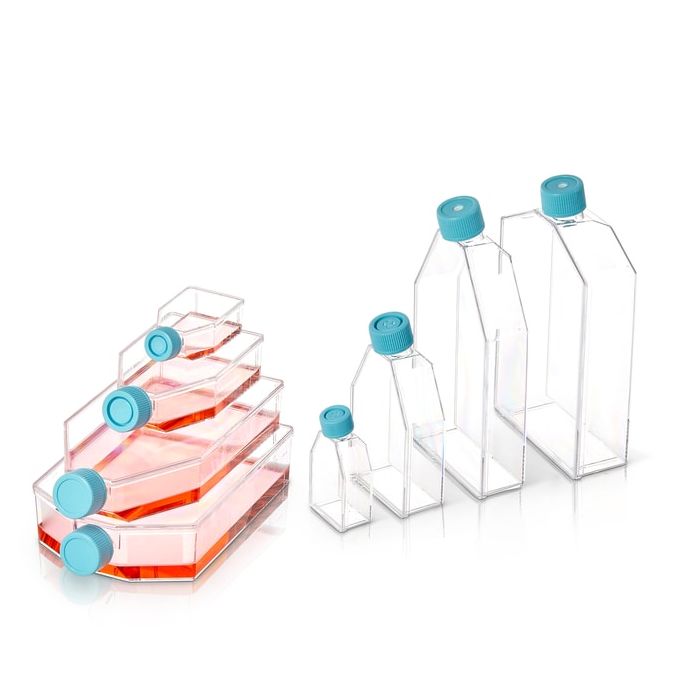 Thermo Scientific BioLite Cell Culture Treated Flasks - 130193 - 75 cm2 - Plug Seal