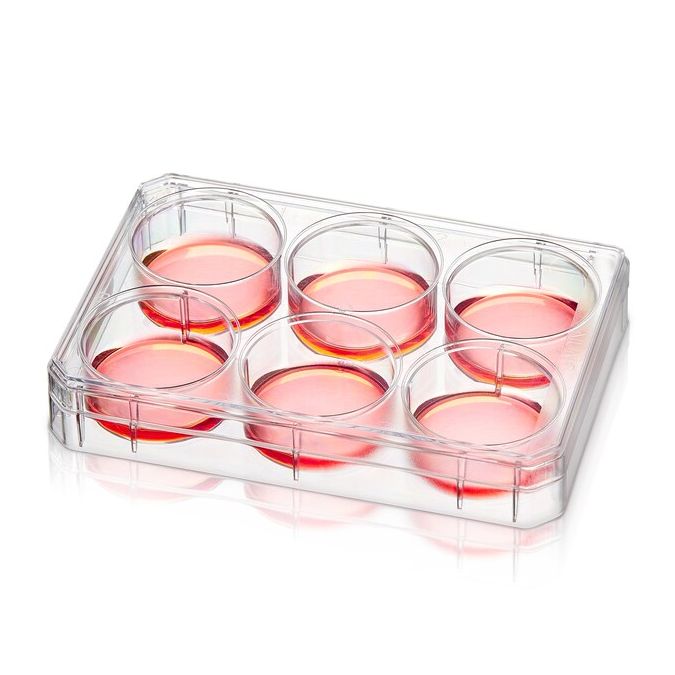 Thermo Scientific Nunc Poly-D-Lysine Or Collagen I Coated Multidishes - 152034
