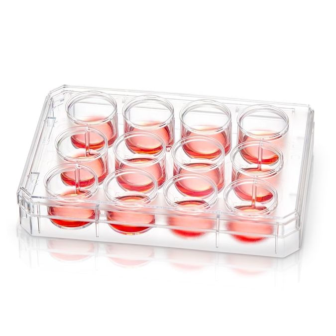 Thermo Scientific Nunc Non-Treated Multidishes - 12 wells - 2 mL - 150200