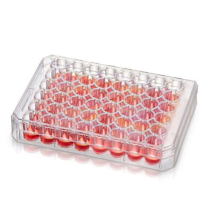 Thermo Scientific Nunc Multidishes With Nunclon Supra Surface - 48 wells - 140683