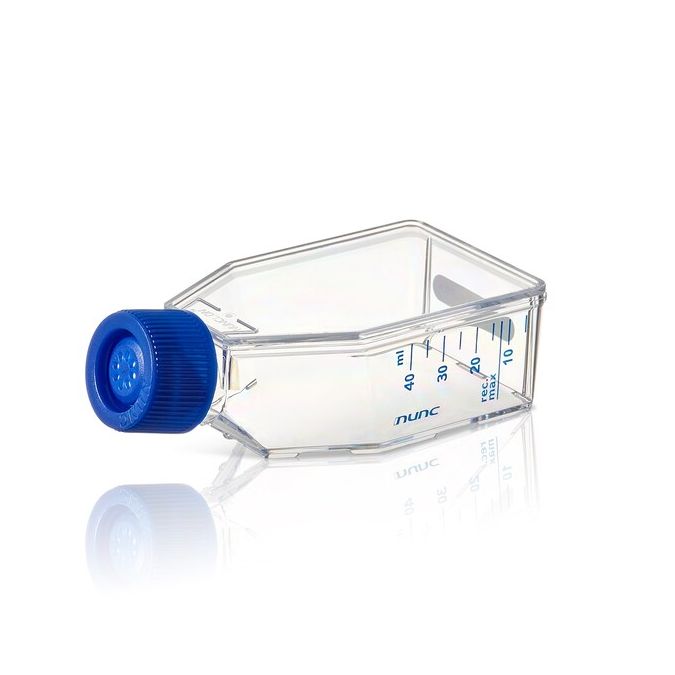 Thermo Scientific Nunc EasYFlask Flasks with Nunclon Supra Surface - 156372 - 25 cm2 - Filter