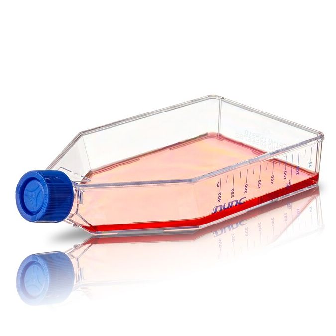 Nunc Cell Culture Treated Flasks With Solid Caps - 156505 - 175 cm2 - Vent/Close