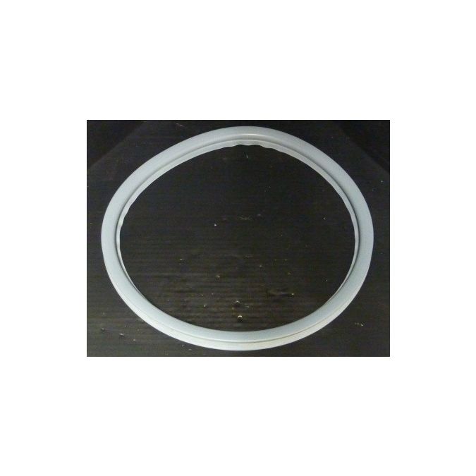 THERMO 85240712 CHAMBER/LID SEAL GR20/22