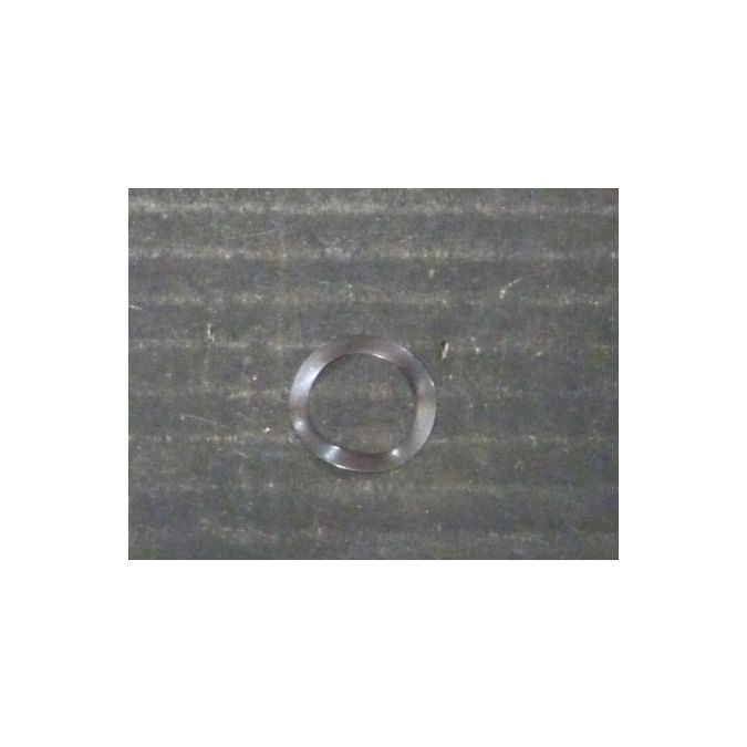 THERMO 89000851 C/CR3I SPRING WASHER