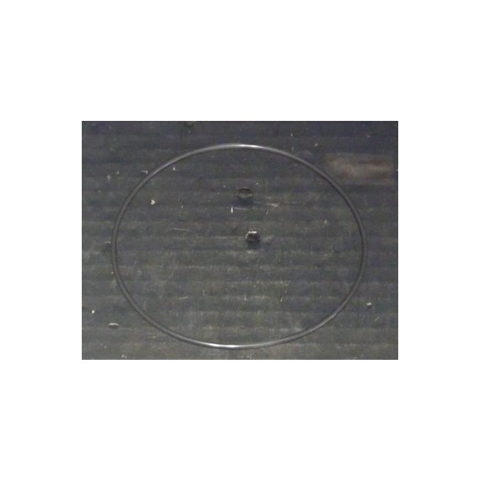 THERMO 90703 SEALORINGVITON 4.487 X .103