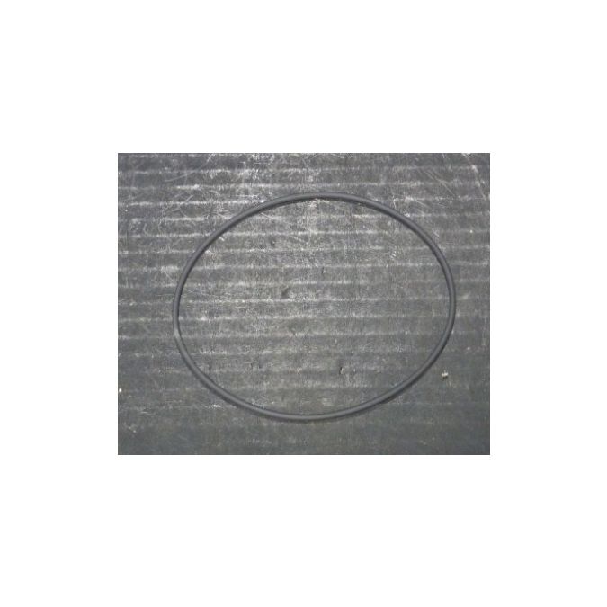 THERMO 91037 O-Ring Lid SL-50T PK/6