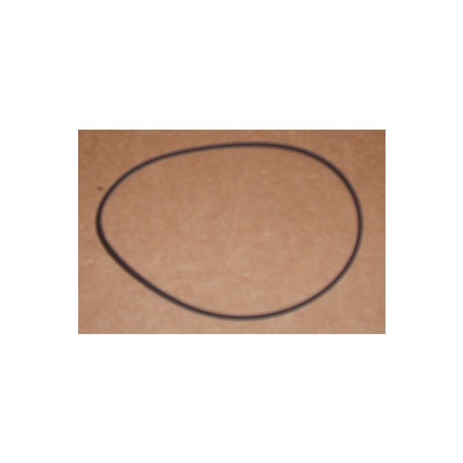 THERMO 91911 O-Ring Lid T-890 EA