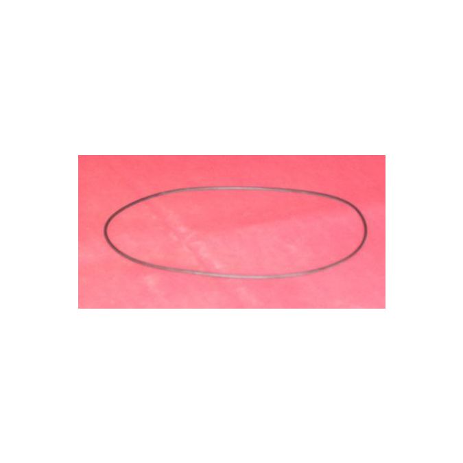 THERMO 92233 SEAL O-RING ETHYLENE