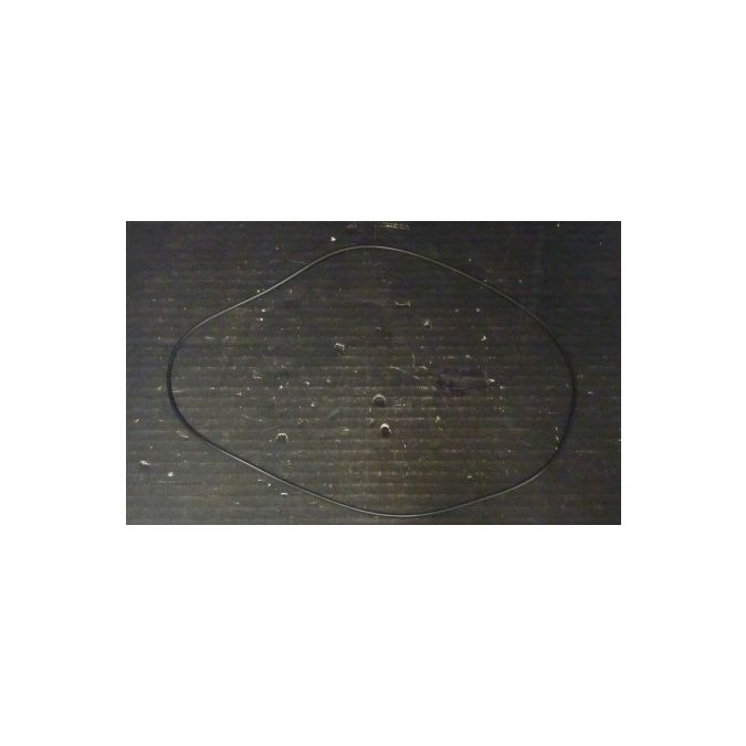 THERMO 92939 O RING 2-177N525-60