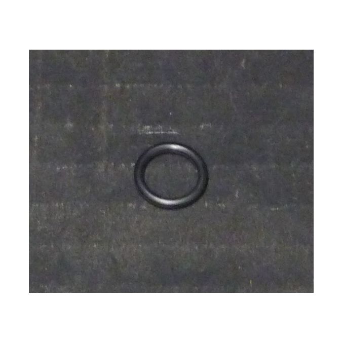 THERMO 92942 O RING 2-012N525-60