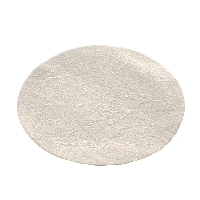 Thermo Scientific Nalgene Membrane and Prefilter Disks - DS0281-7500 - 75 mm