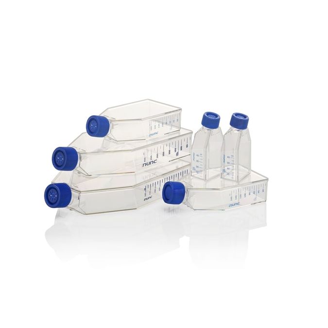 Thermo Scientific Nunc Poly-D-Lysine or Collagen I Coated EasYFlasks - 132706 - 25 cm2 - Filter