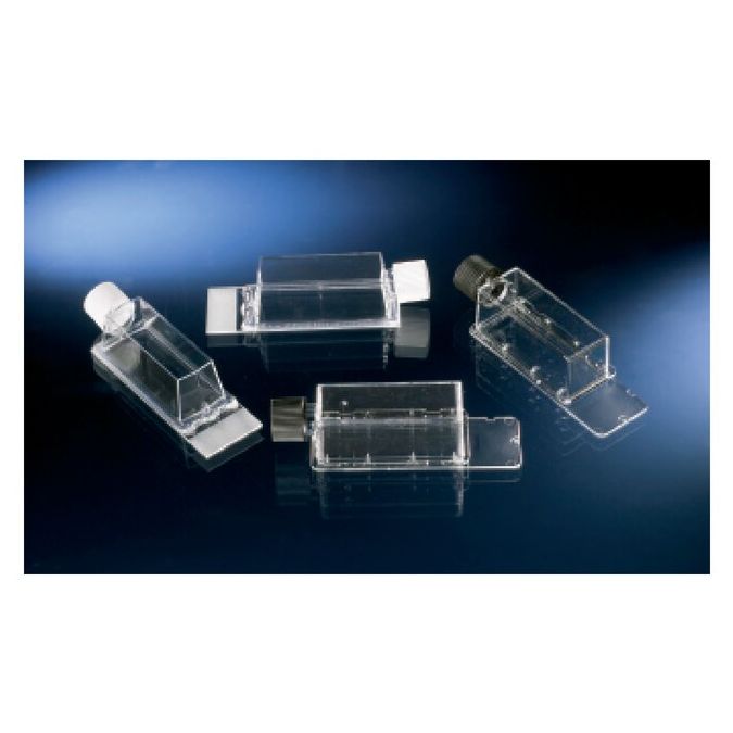 Nunc Lab-Tek Flask on Slide