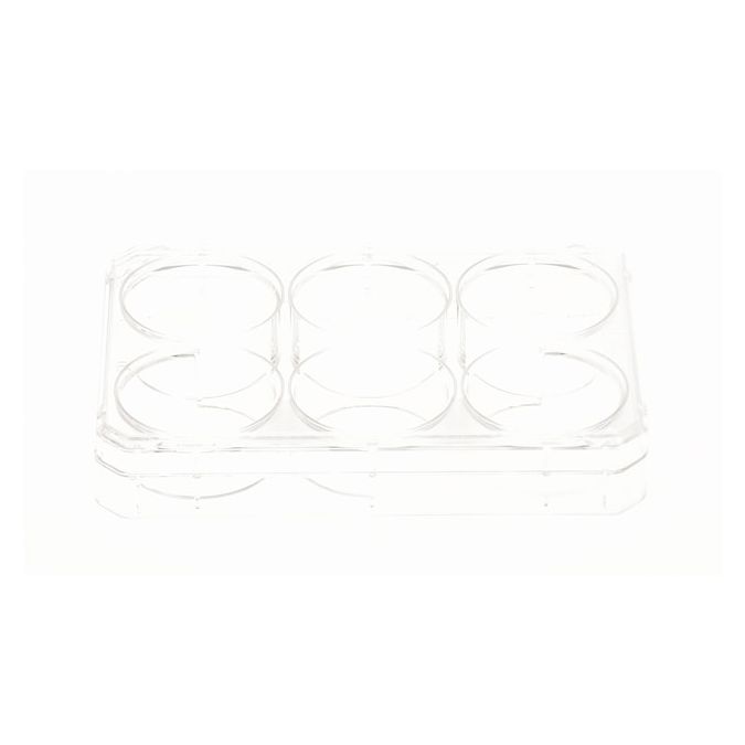 Thermo Scientific Nunc Multidishes with UpCell Surface - 174901